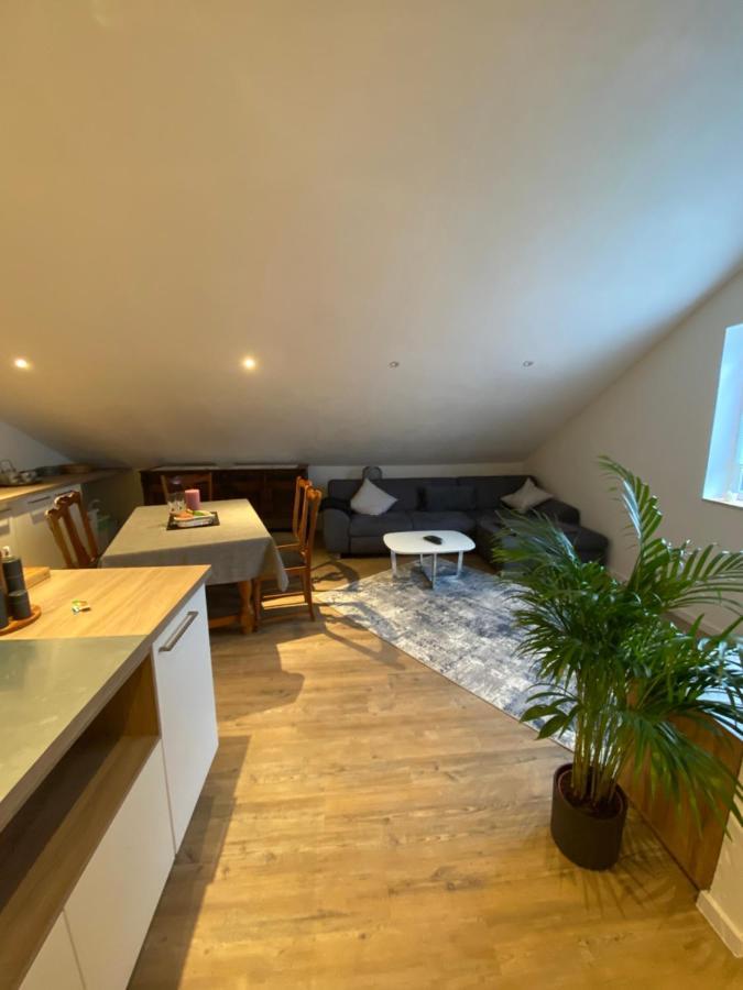 Lehmann Apartment Staufen im Breisgau