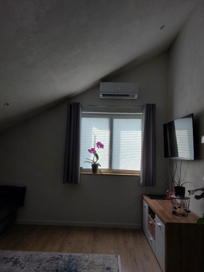 Lehmann Apartment Staufen im Breisgau